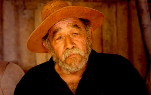 Dario Higuera Meza - main character