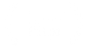 premio festival internacional de cine de santa bárbara